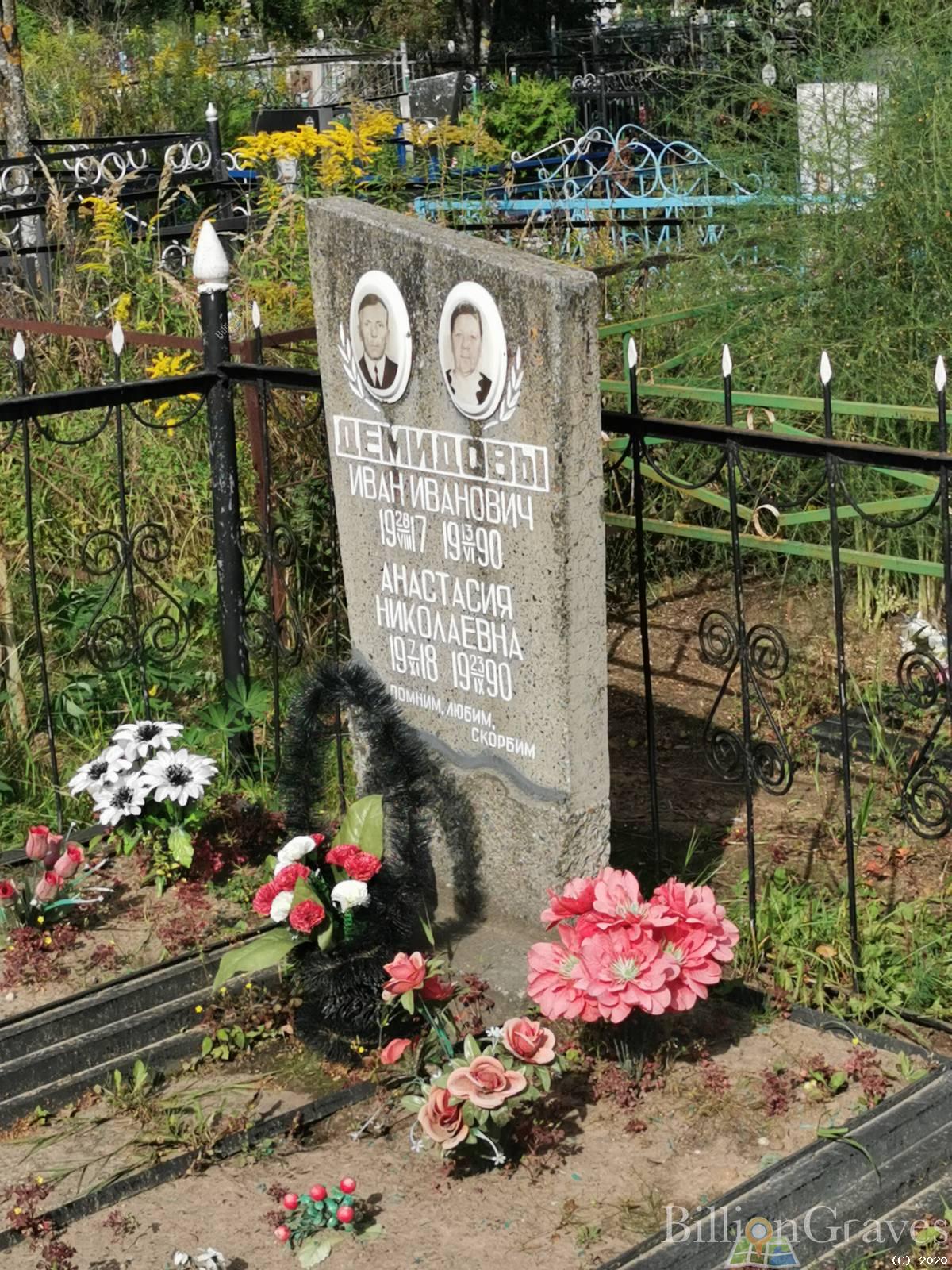 Демидова Анастасия Николаевна