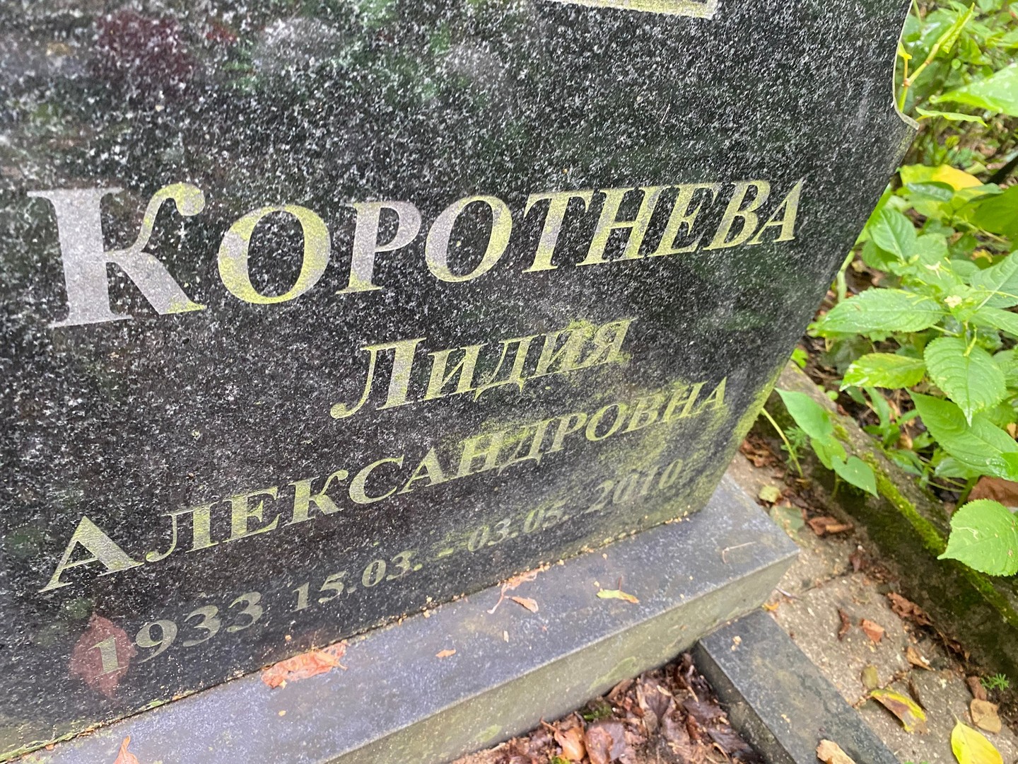 Коротнева