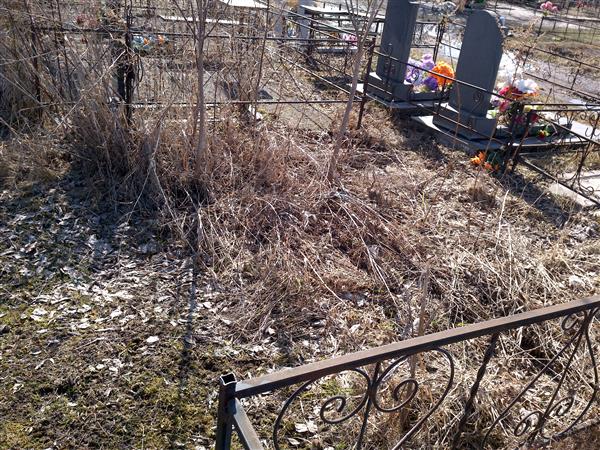 Подольянова Анастасия Никоноровна