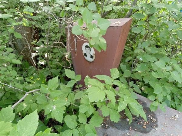 Поздев Александр Иосифович