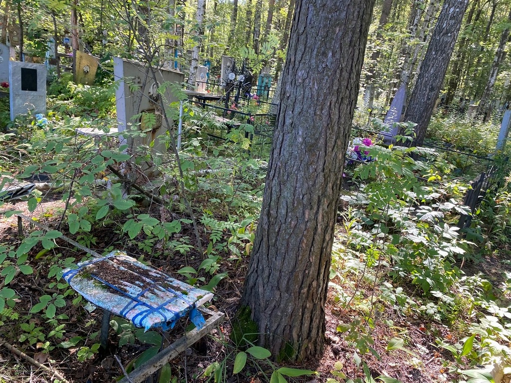 Зотов Александр Николаевич