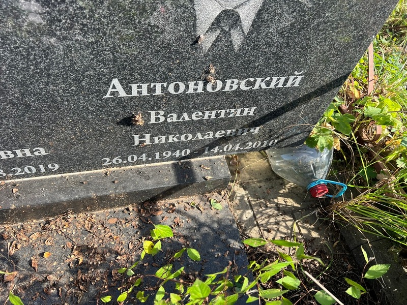 Антоновский