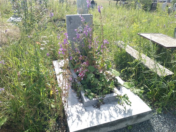 Овсянкина Александра Александровна