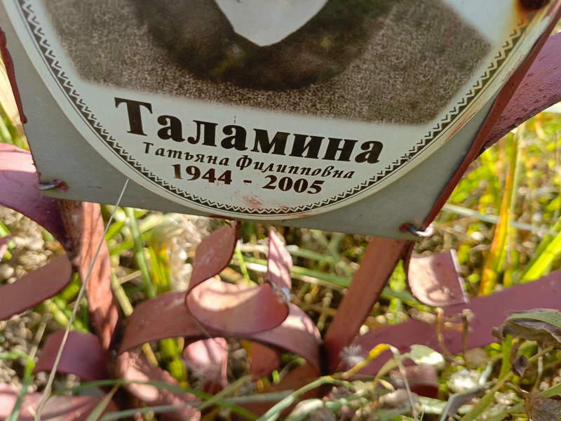 Таламина