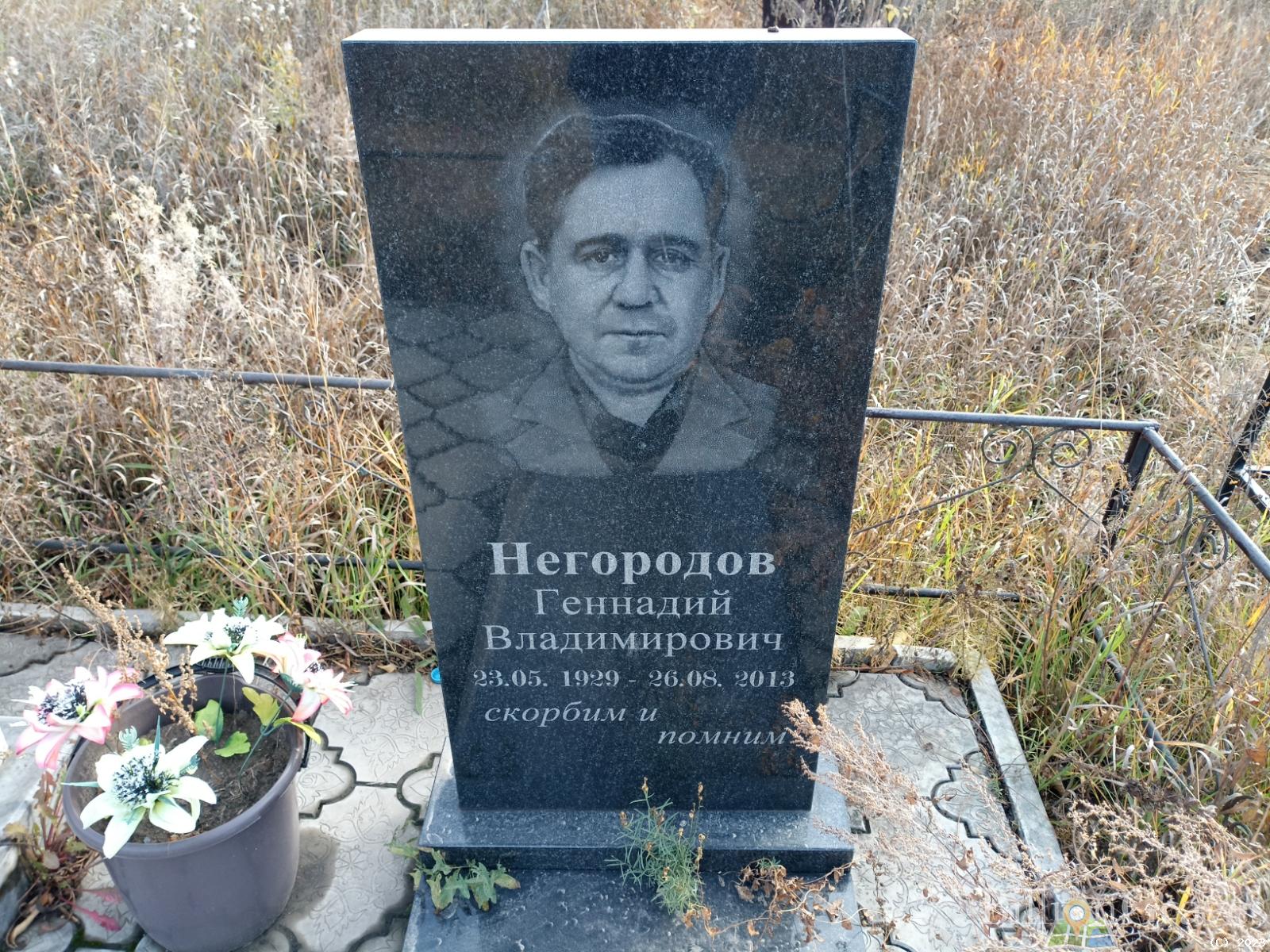 Негородов Геннадий Владимирович