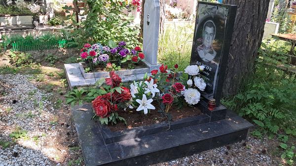 Волков Александр Николаевич