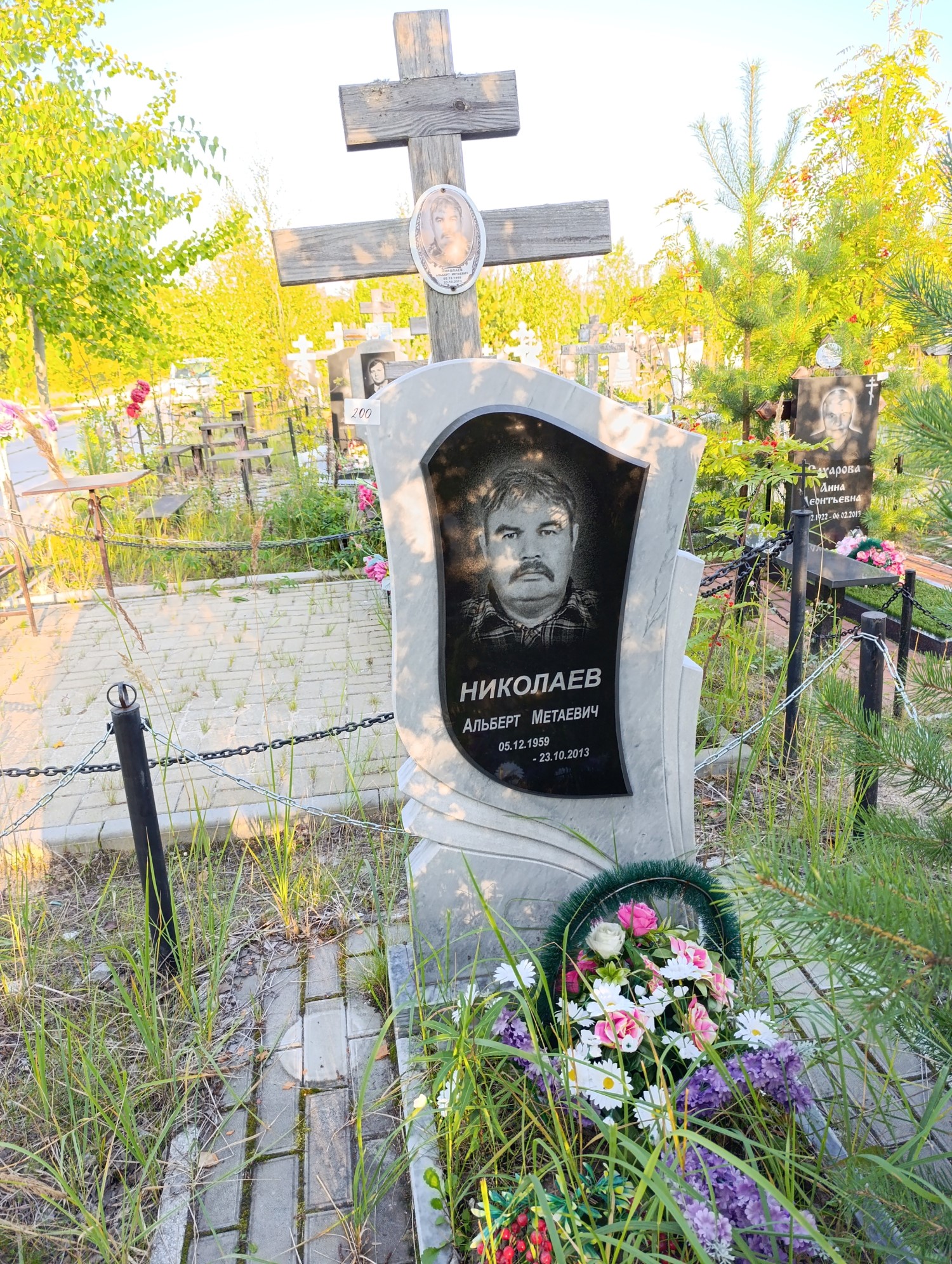 Николаев Альберт Метаевич