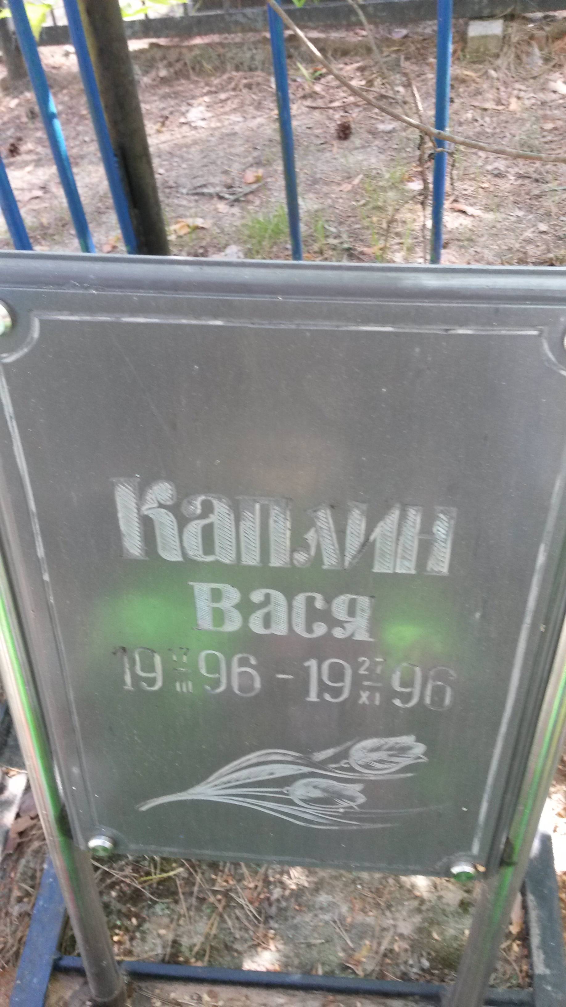 Каплин Вася