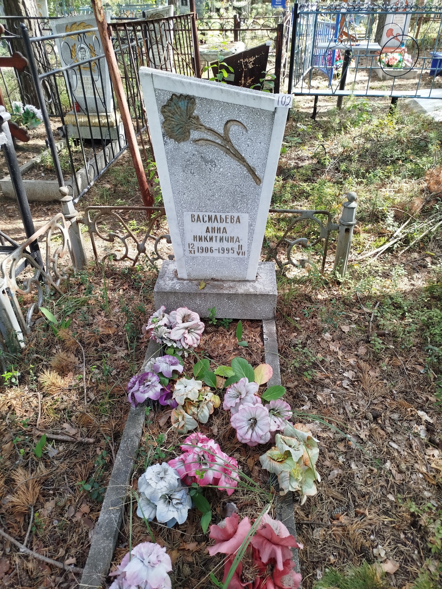 Васильевва Анна Никитична