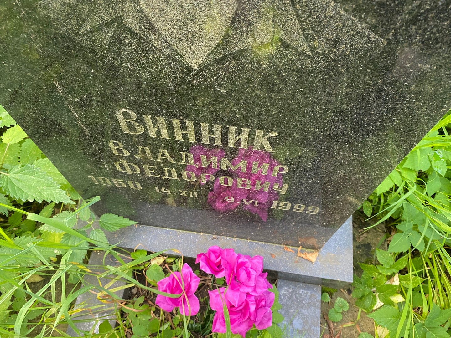 Винник