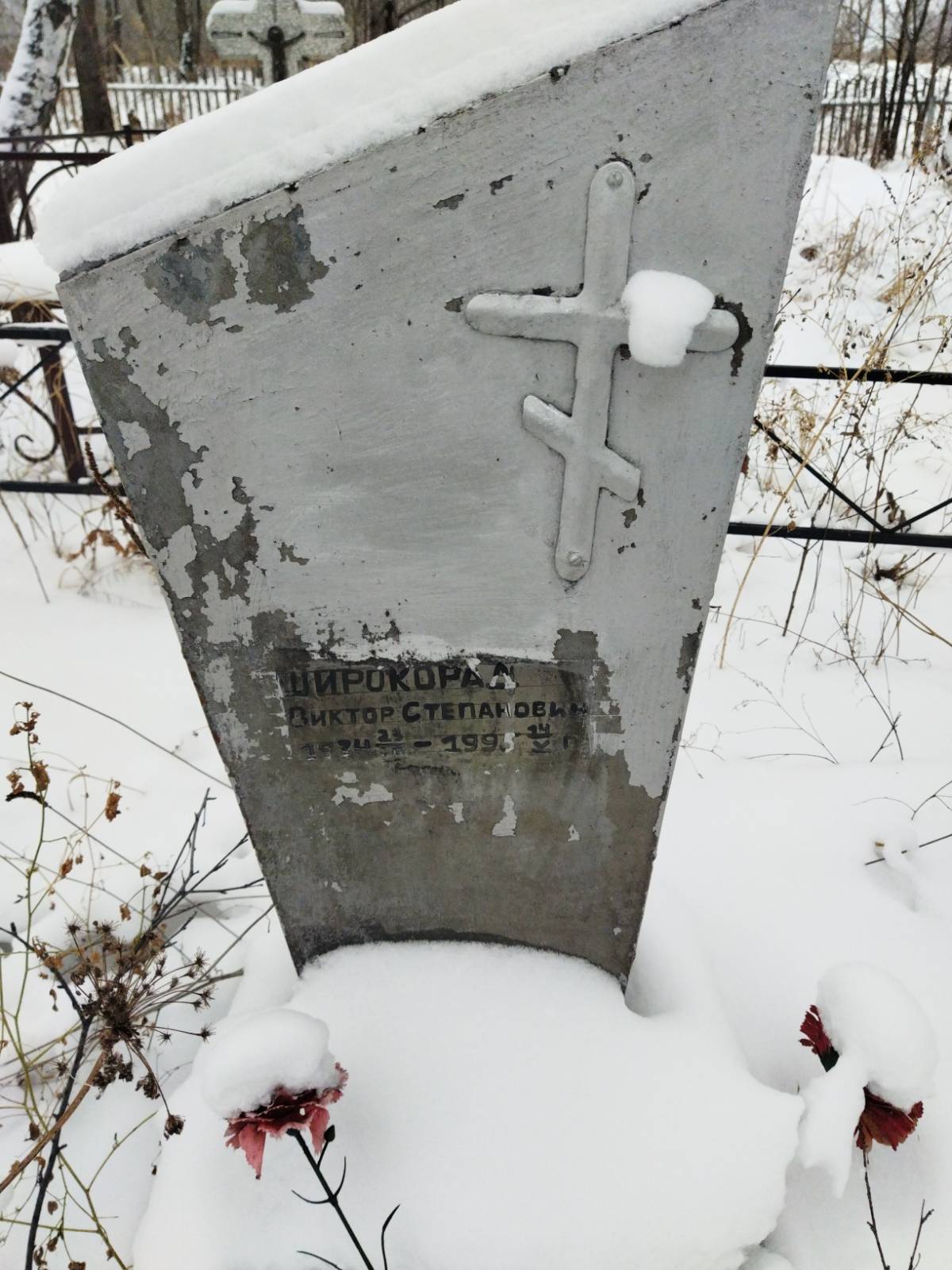 Широкорад Виктор Степанович