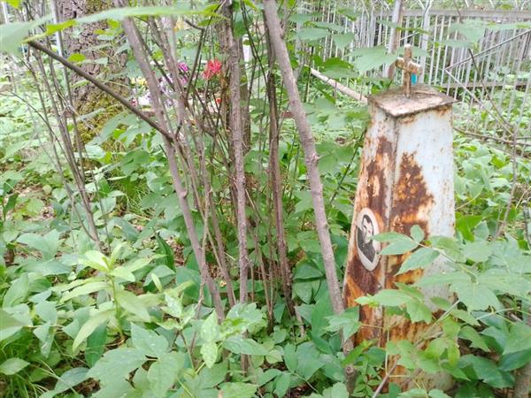 Король Алексей Трофимович
