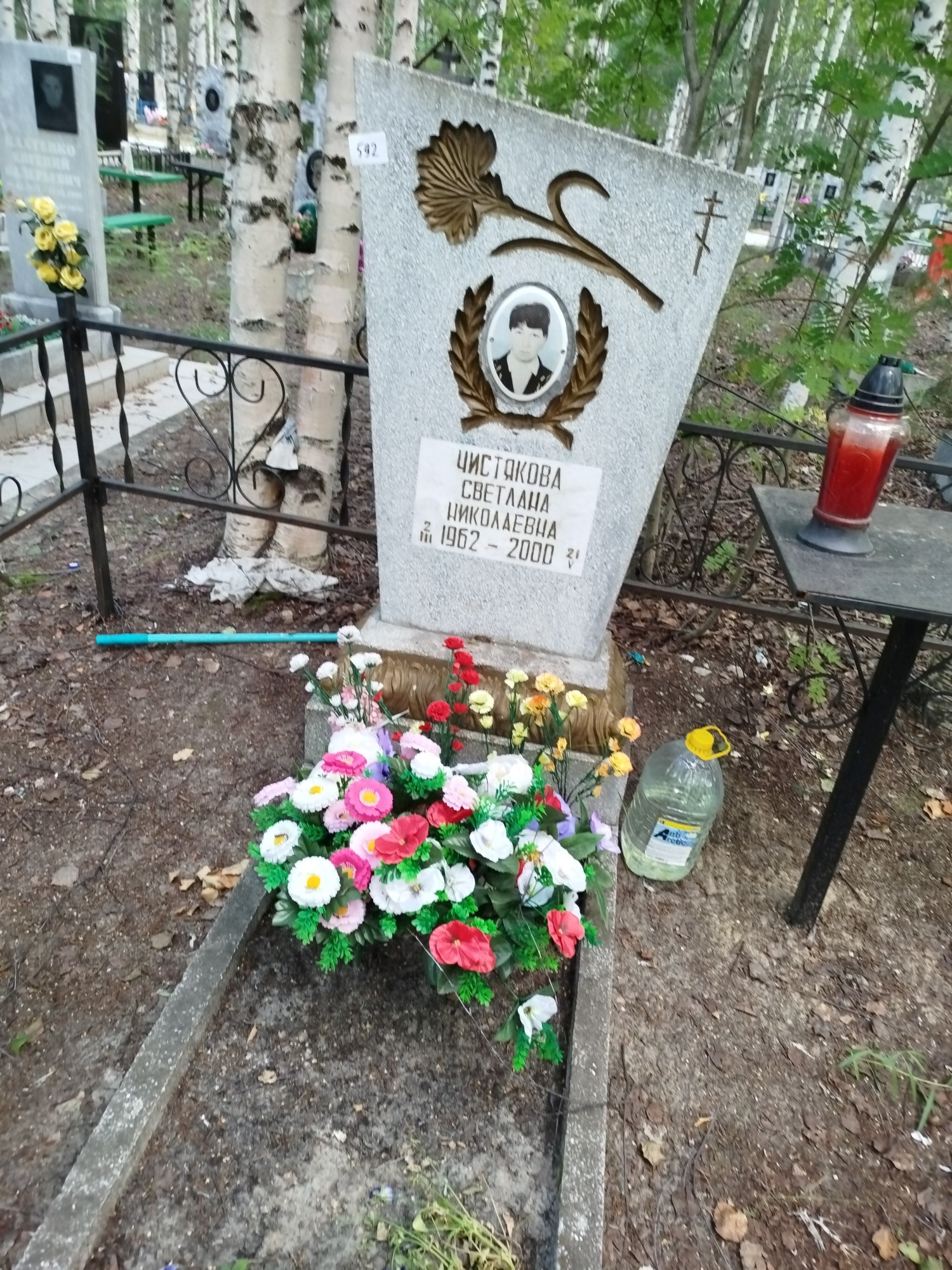 Чистякова Светлана Николаевна