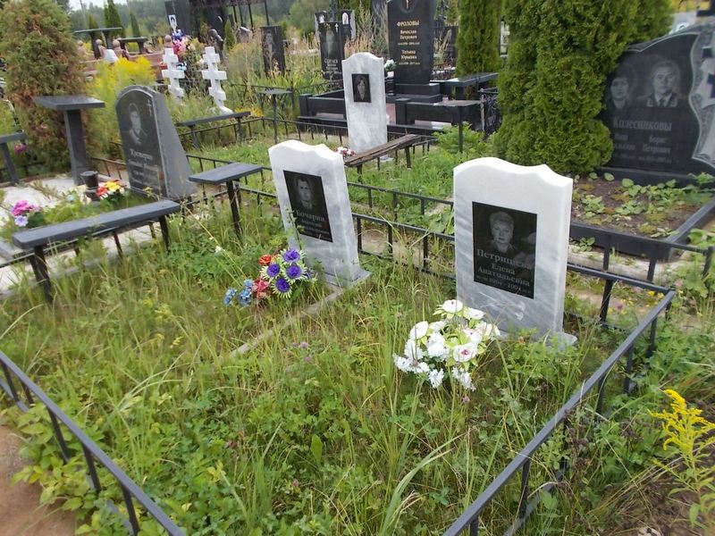 Петрищева Елена Анатольевна