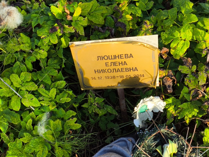 Люшнева