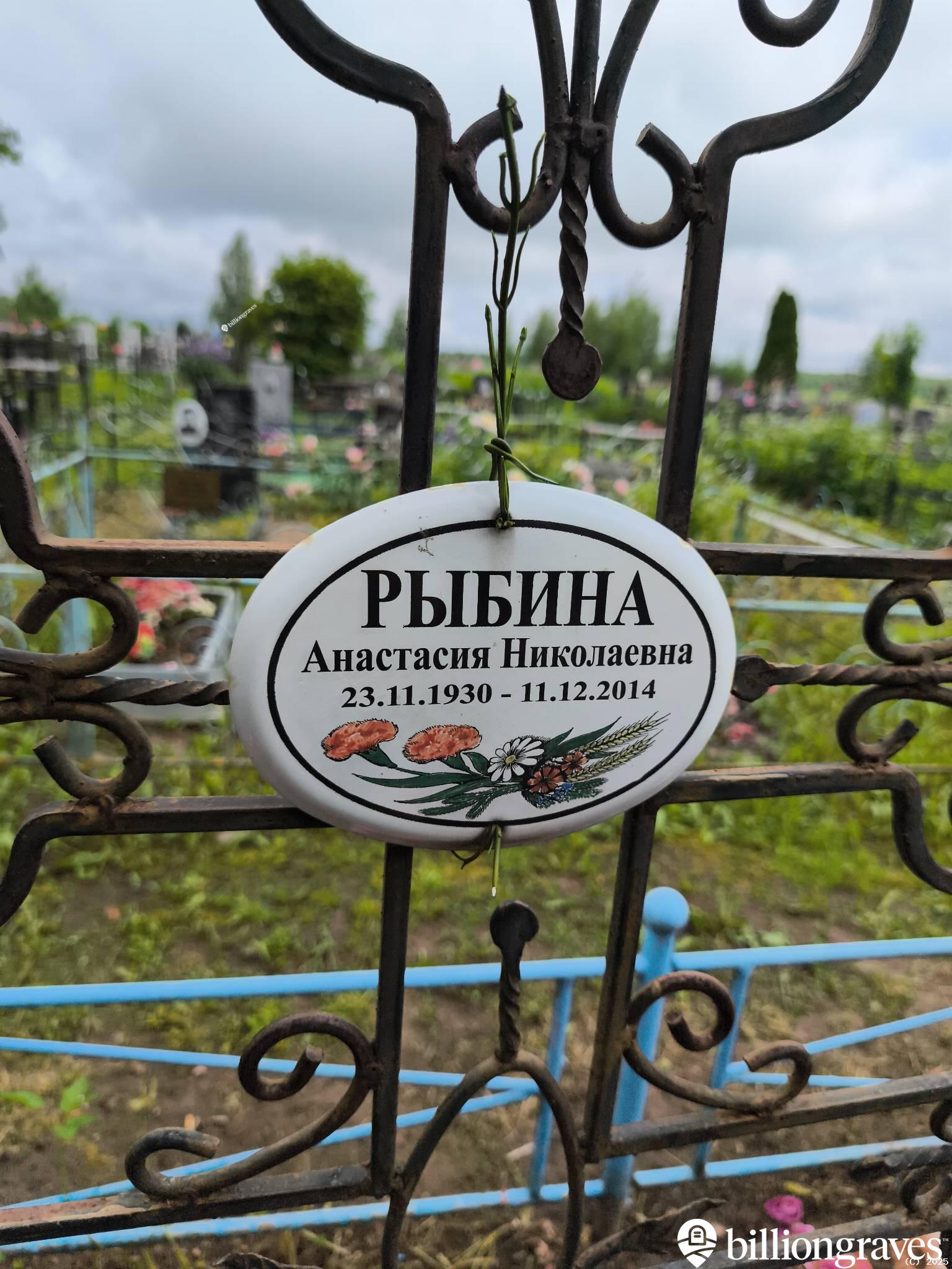 Рыбина Анастасия Николаевна
