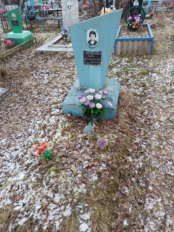 Денисова Нина Владимировна