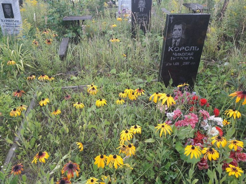 Король Николай Петрович