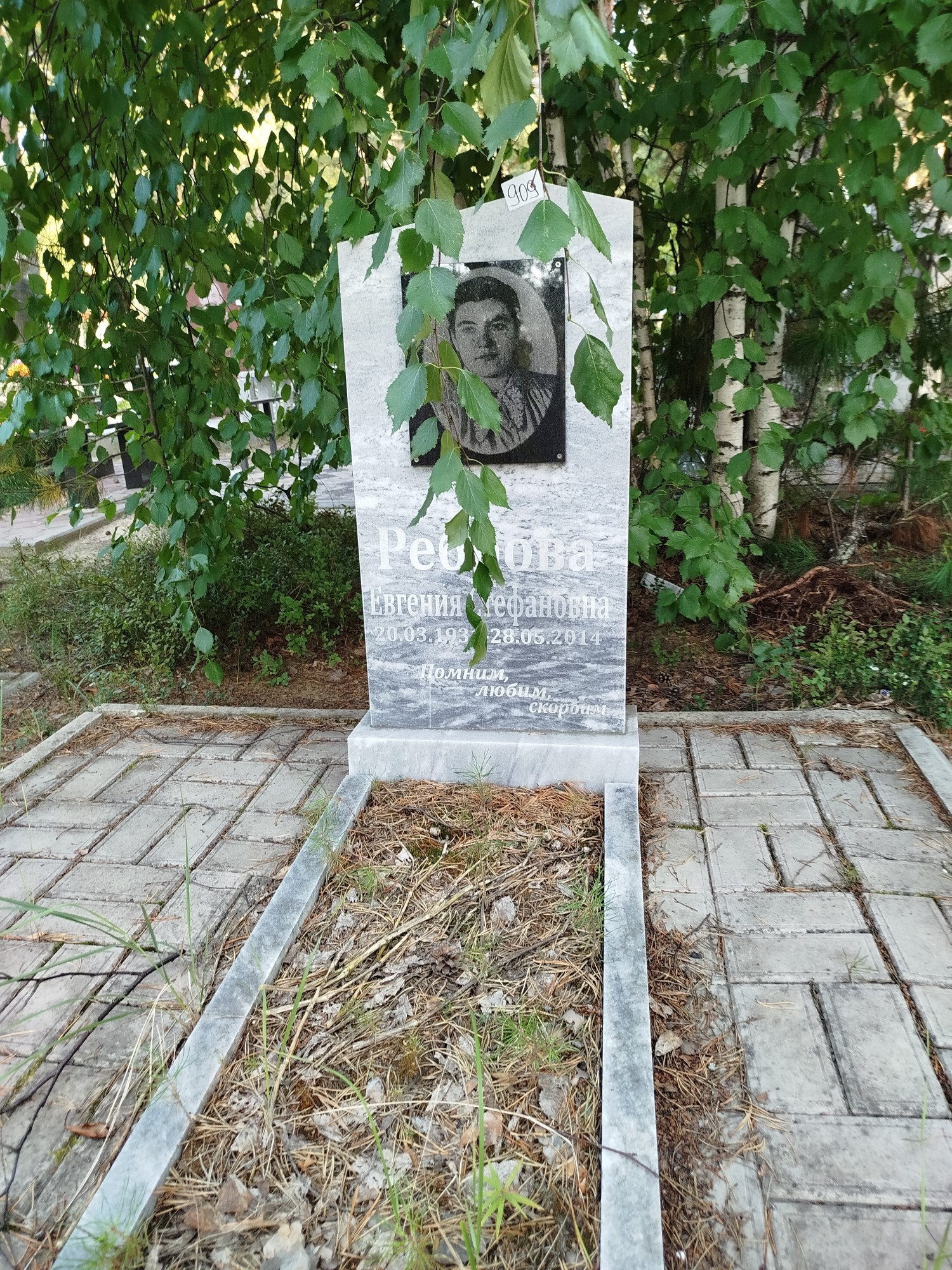 Реброва Евгения Стефановна