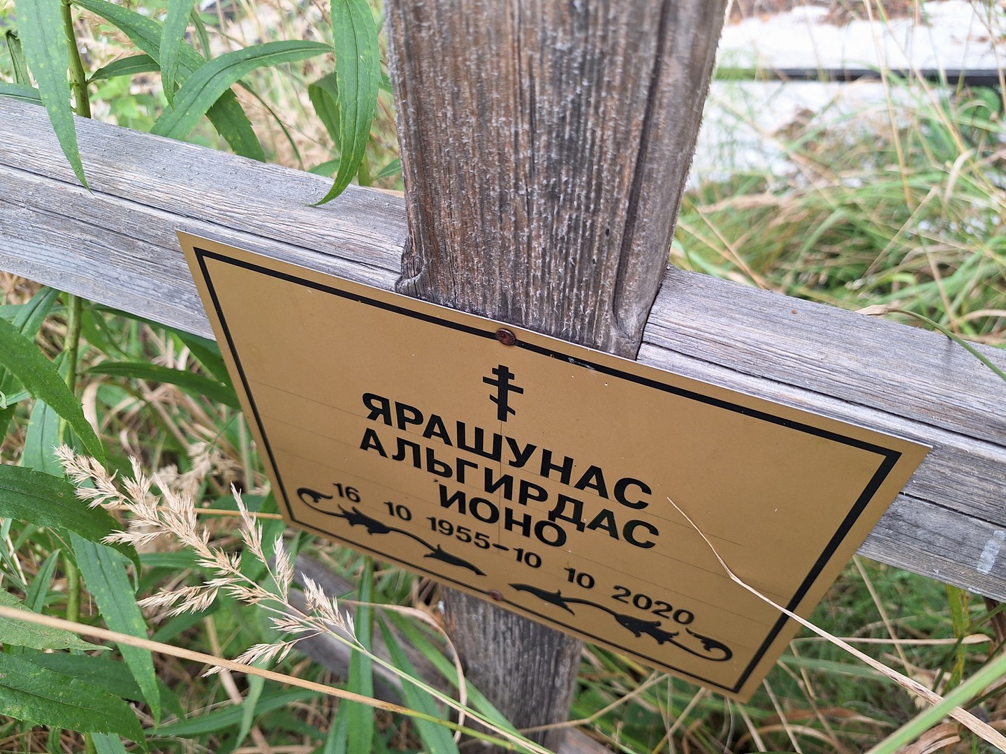 Альгирдас Ярашунас Ионо