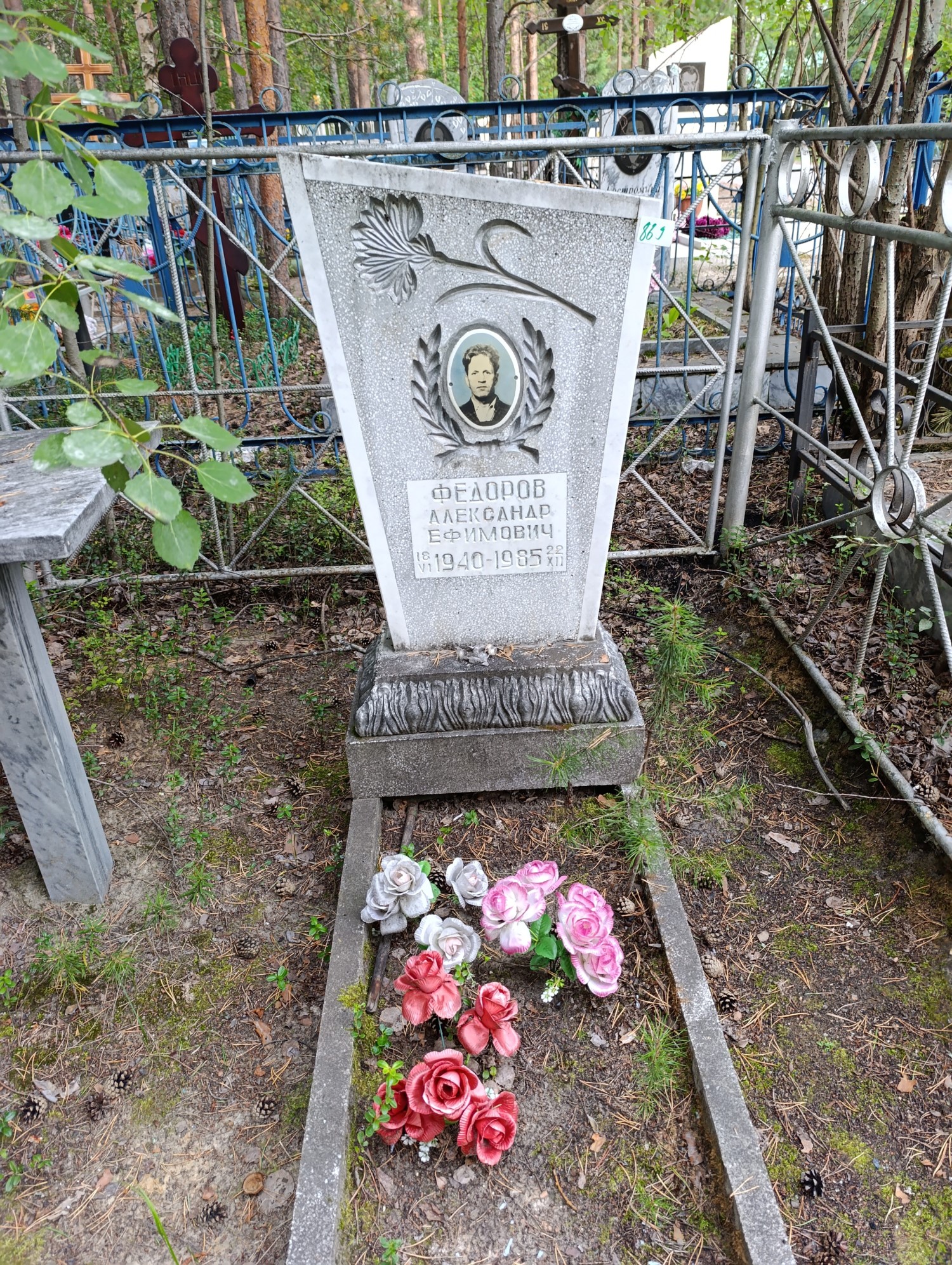 Федоров Александр Ефимович
