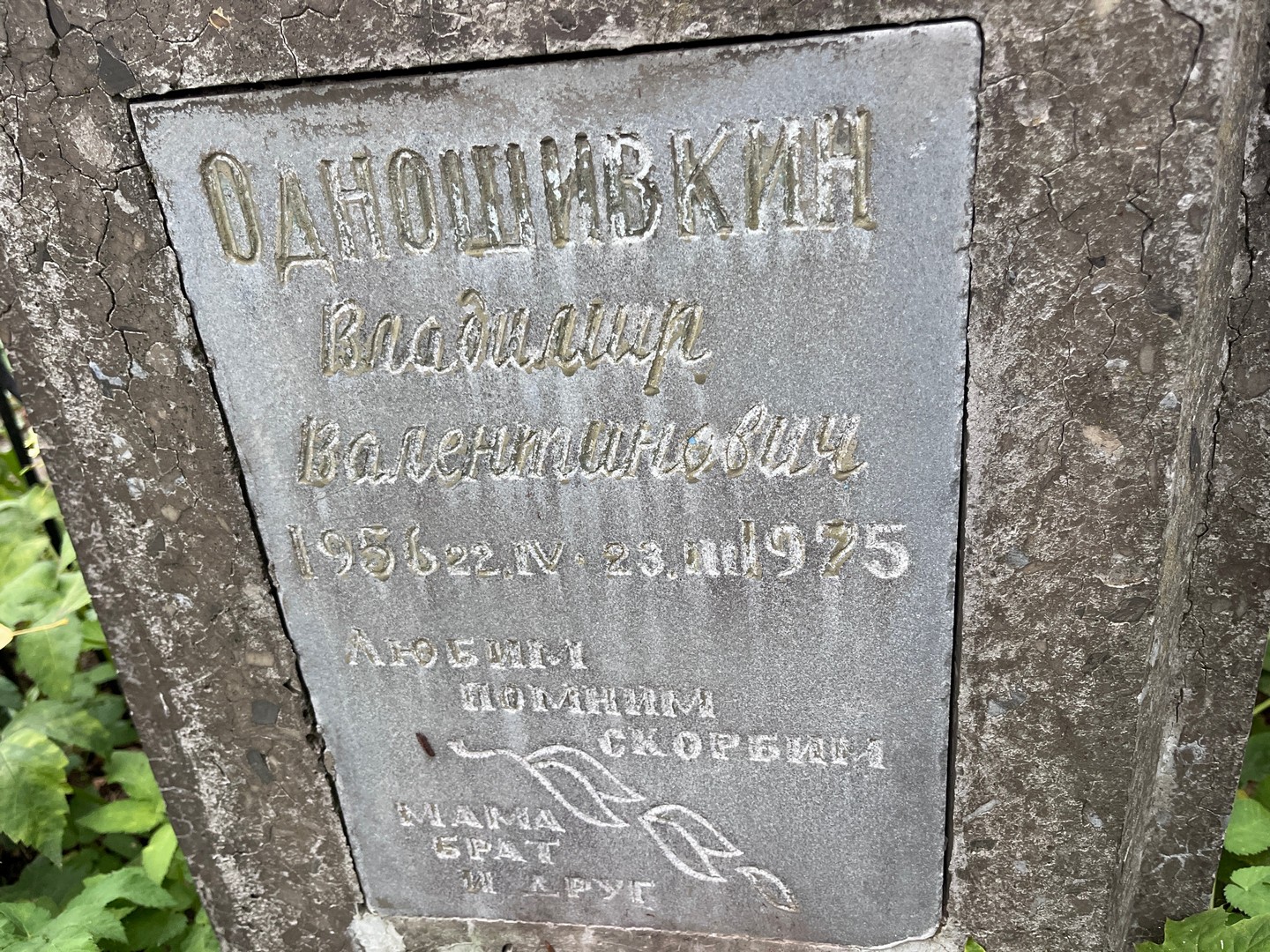 Одношивкин
