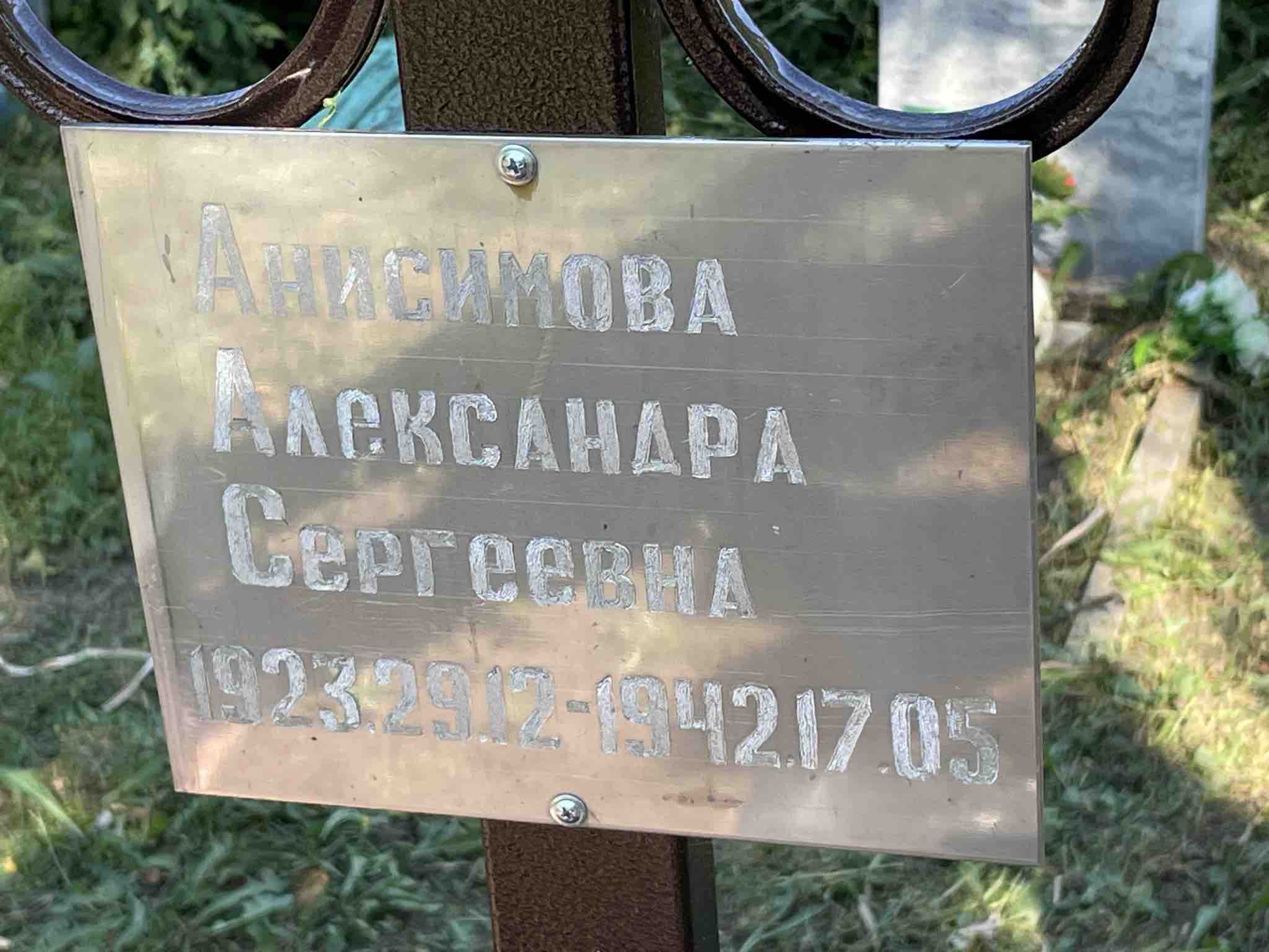 Анисимова Александра Сергеевна