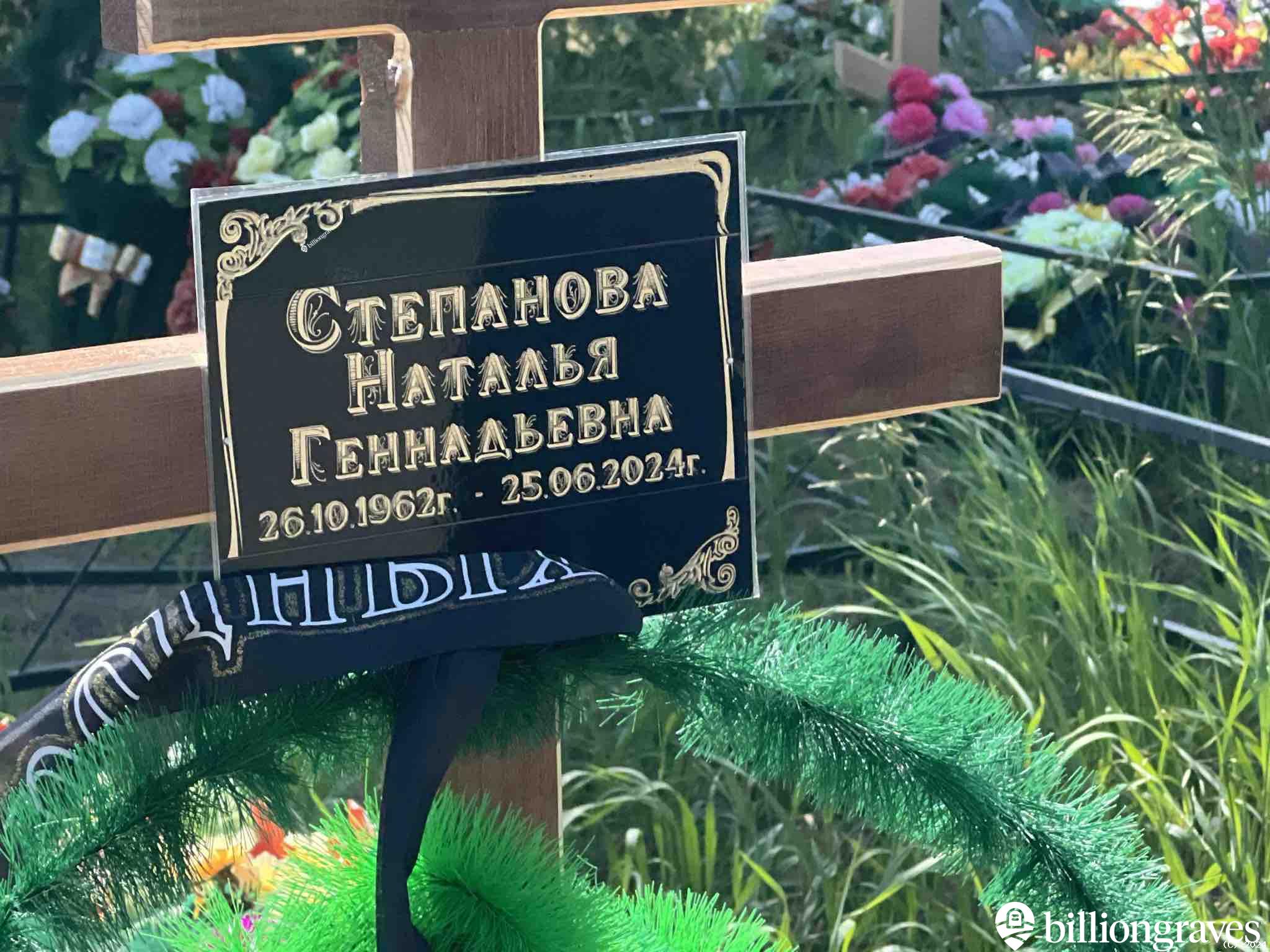 Степанова Наталья Геннадьевна