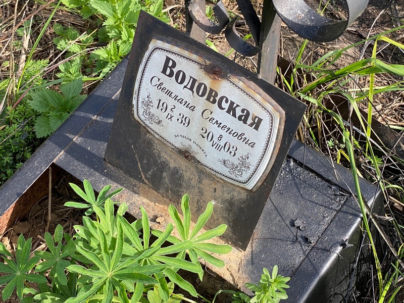 Водовская