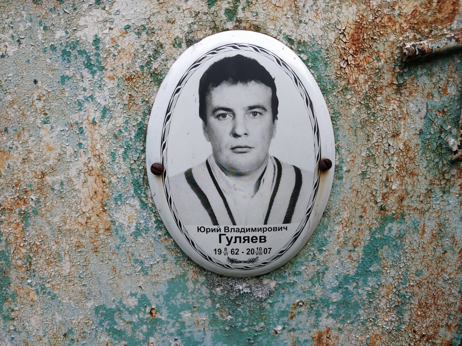 Гуляев Юрий Владимирович