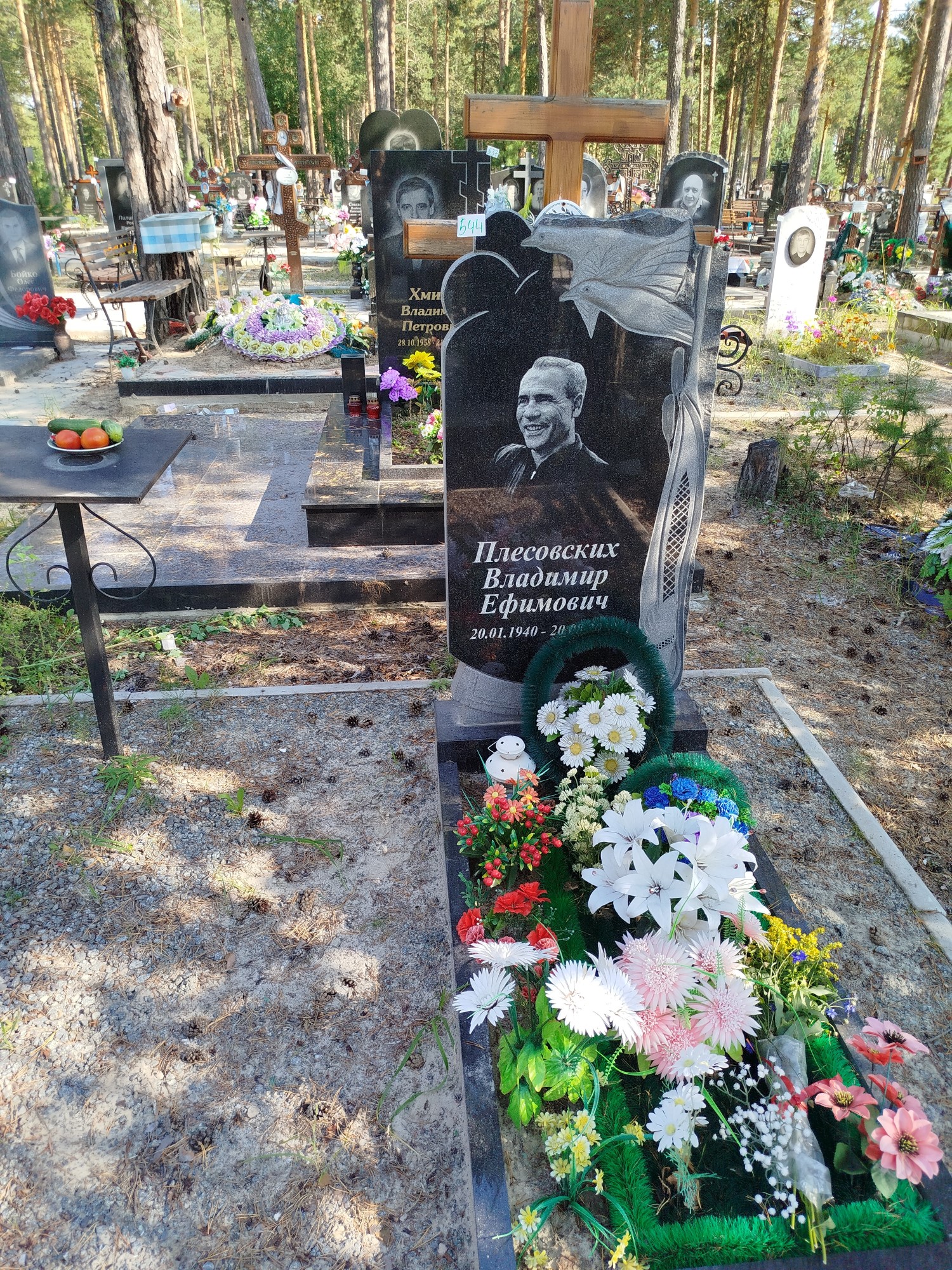Плесовских Владимир Ефимович