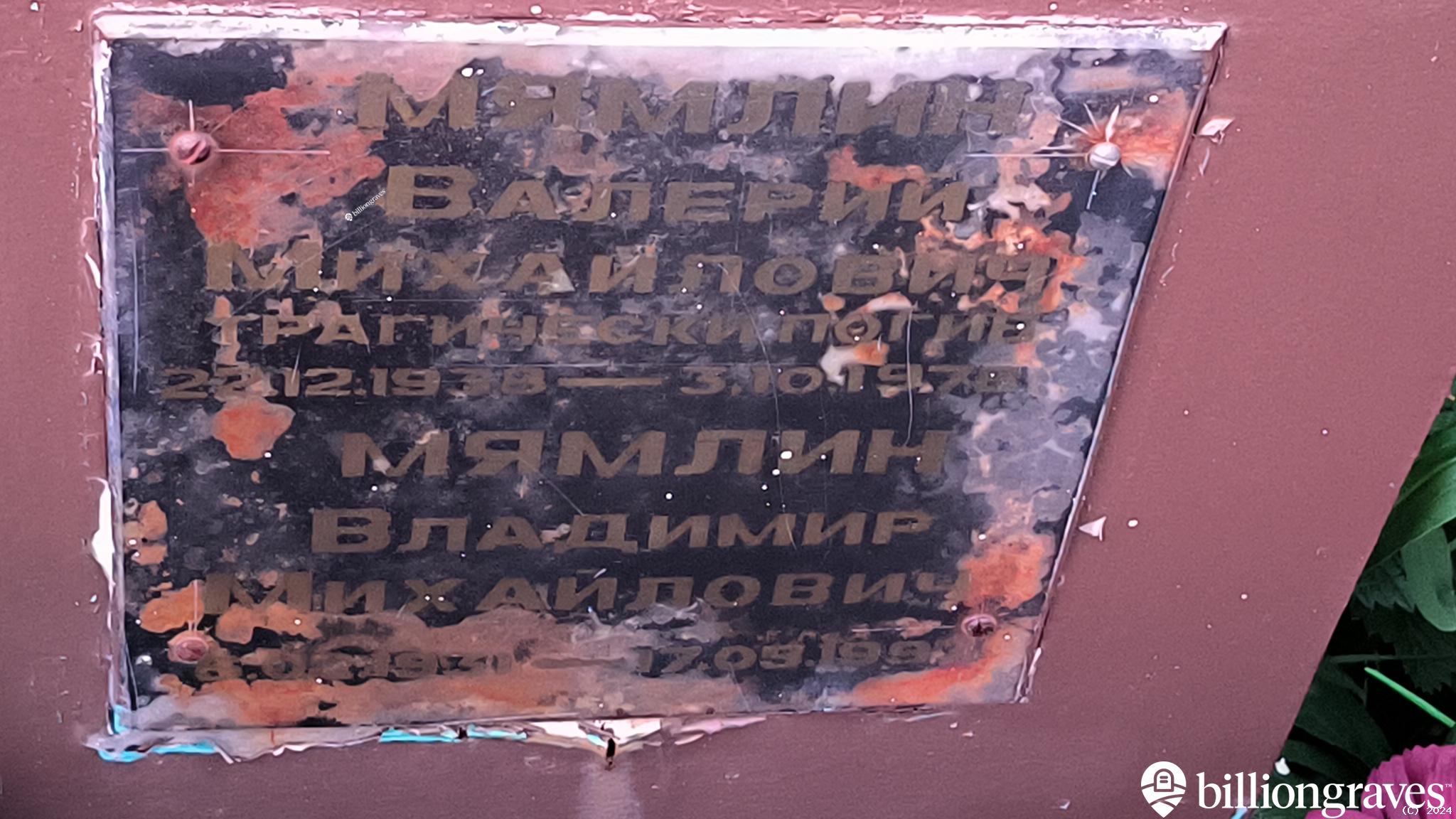 Мямлин Владимир Михайлович