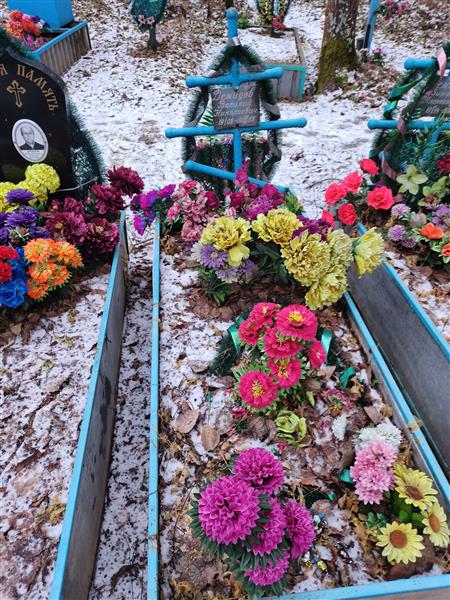 Демидов Василий Николаевич