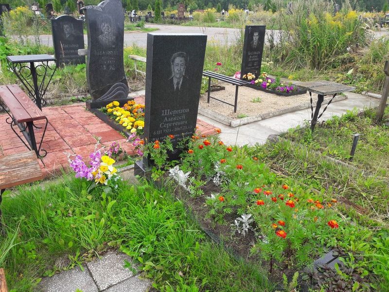 Шершов Алексей Сергеевич