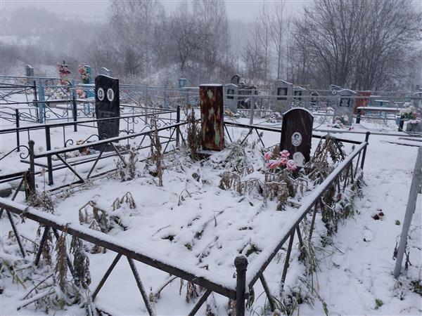 Мокшанцева Лариса Дмж