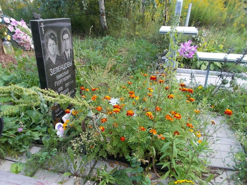 Зеленцов Николай Георгиевич