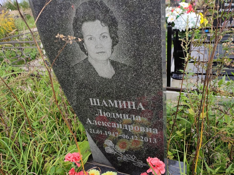 Шамина