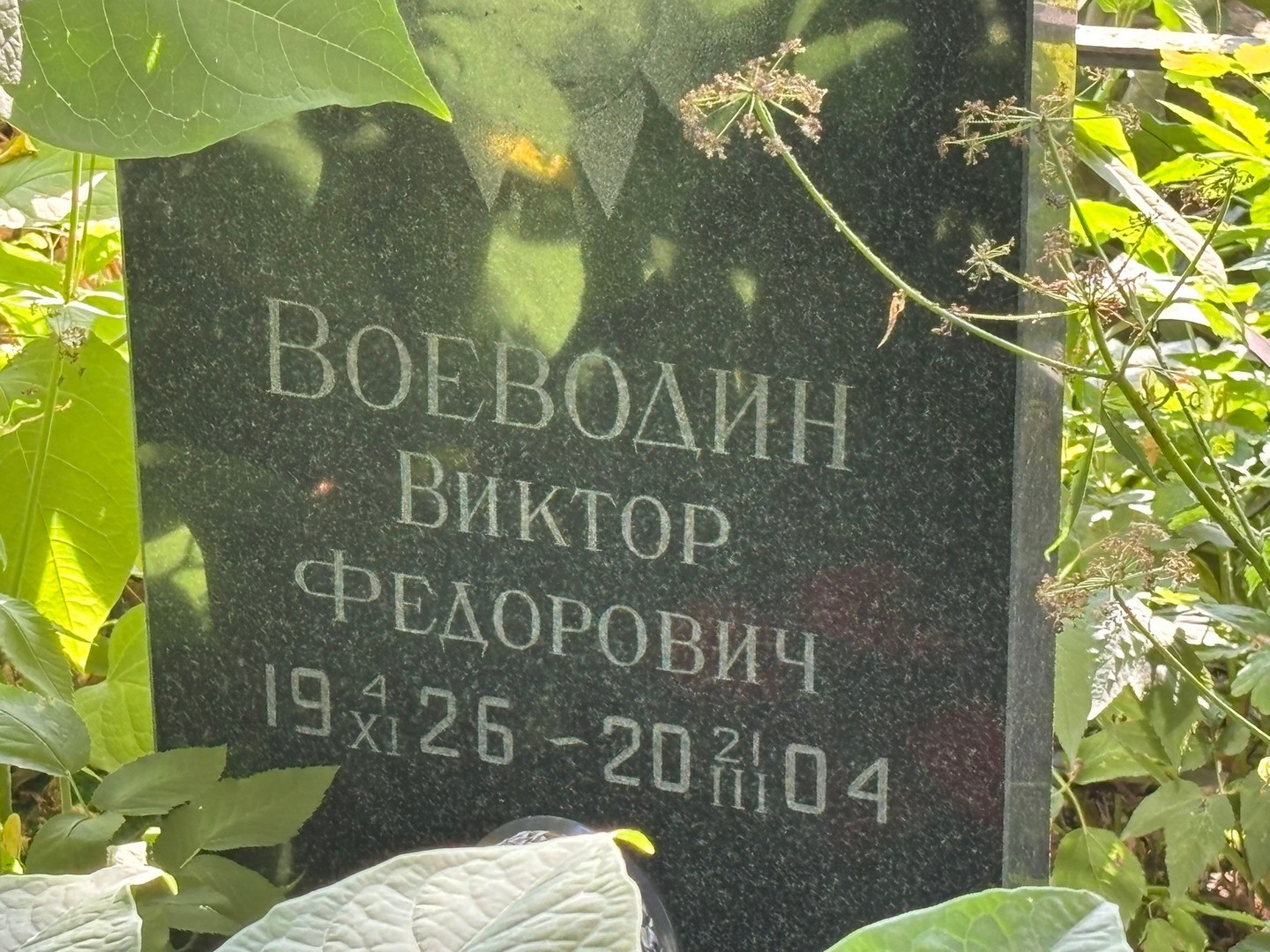 Воеводин