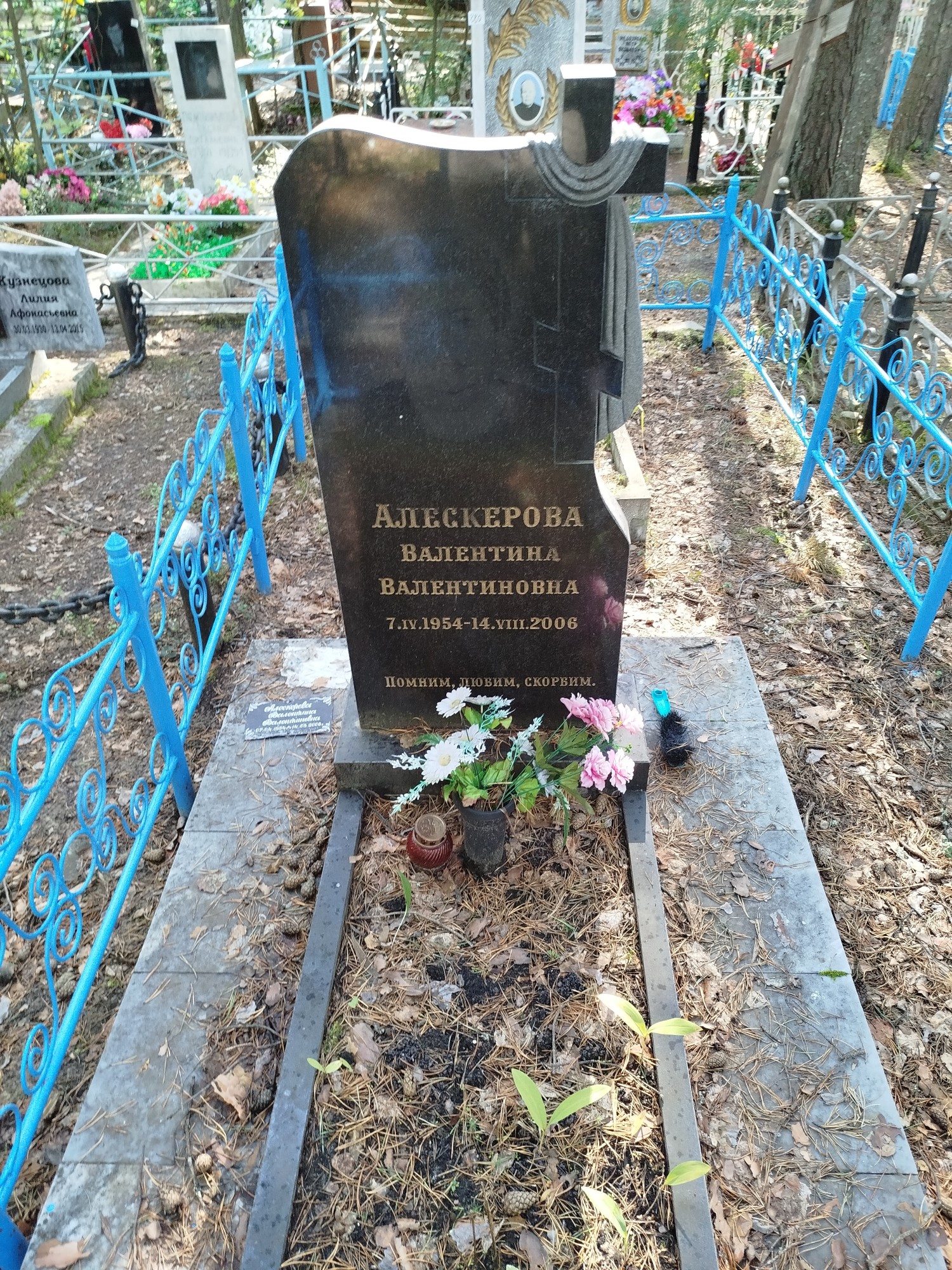 Алескерова Валентина Валентиновна