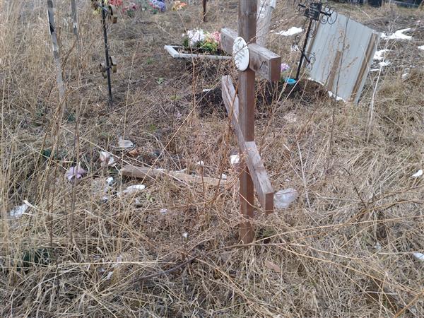 Курышева Эрика Алойизовна
