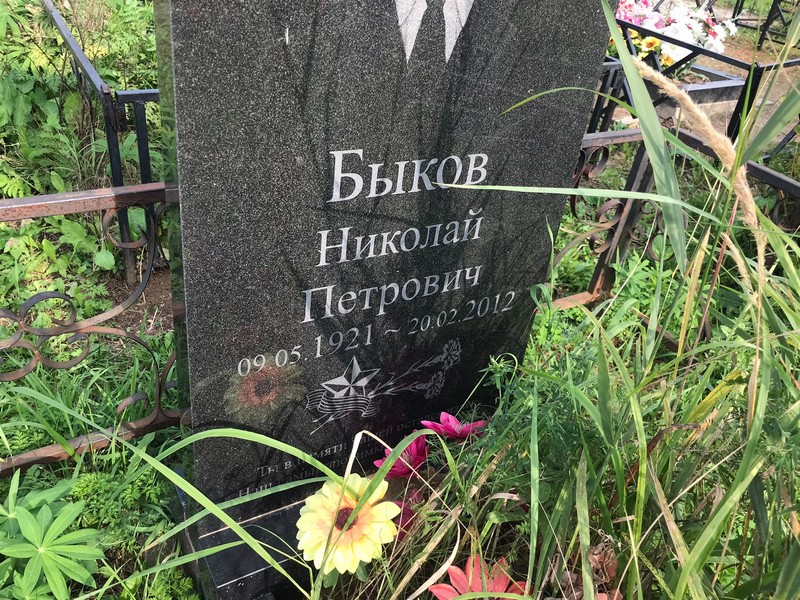 Быков