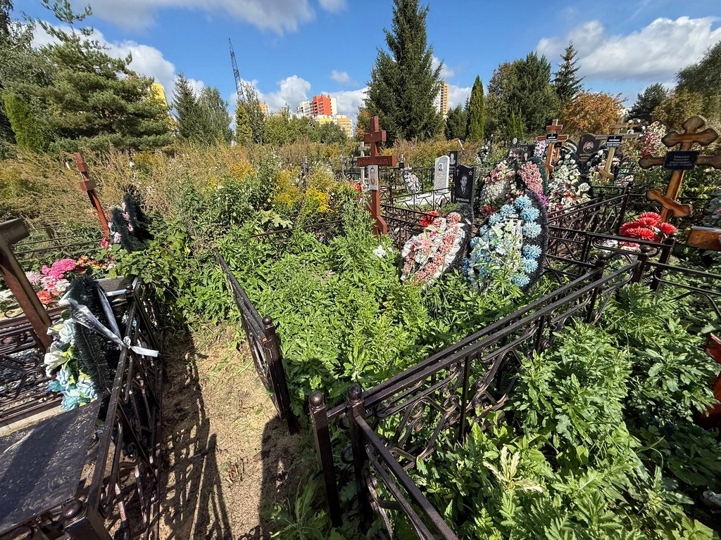 Кумакшев Андрей Евгеньевич