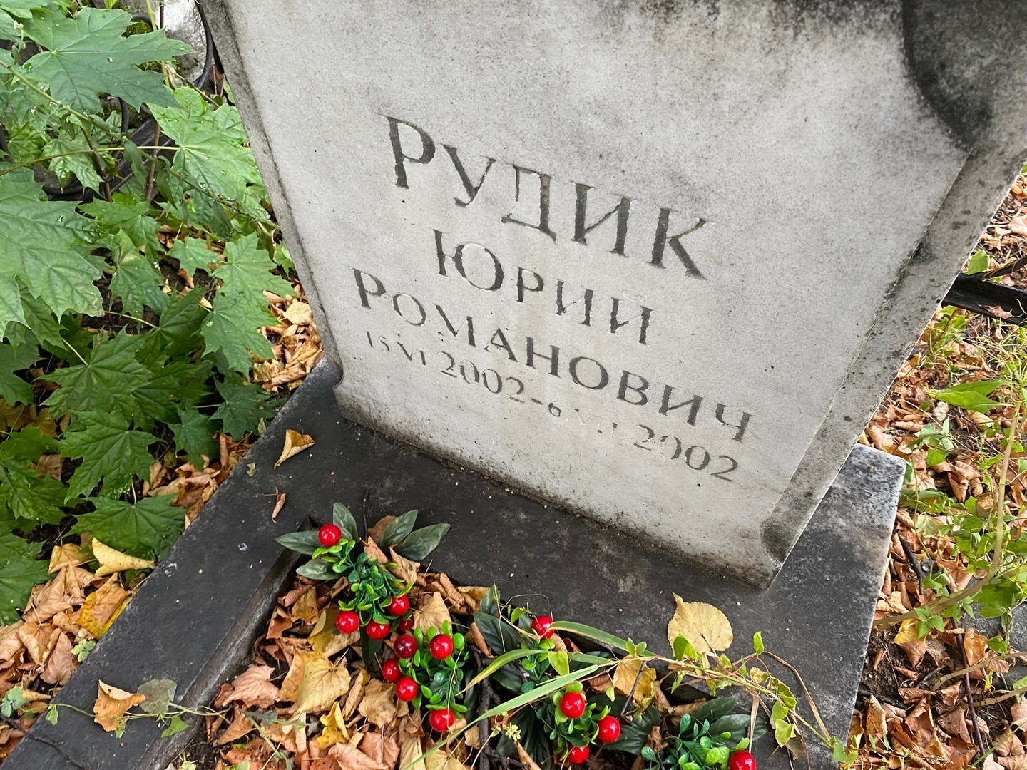 Рудик
