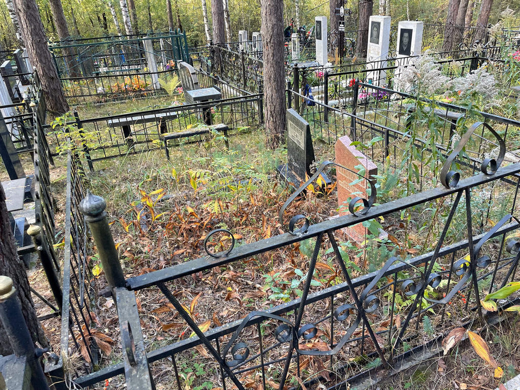 Клионер С И