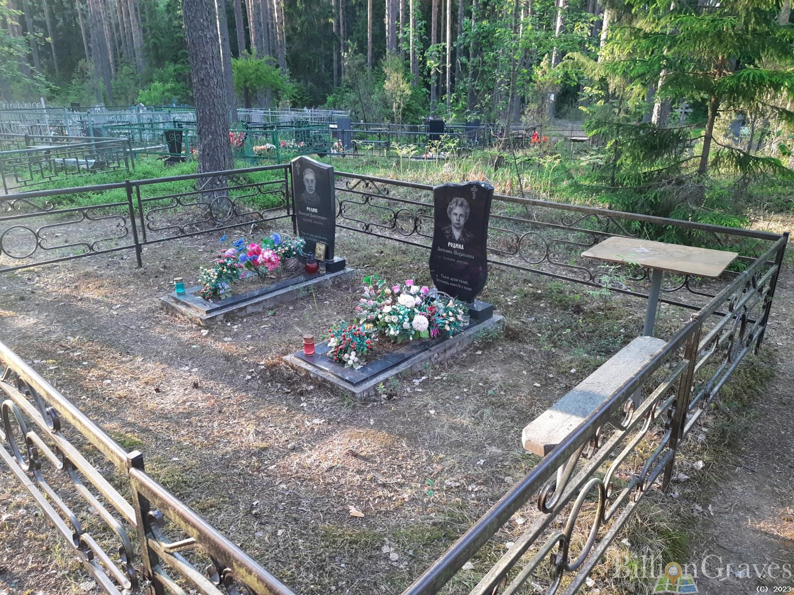 Родин Николай Дмитриевич