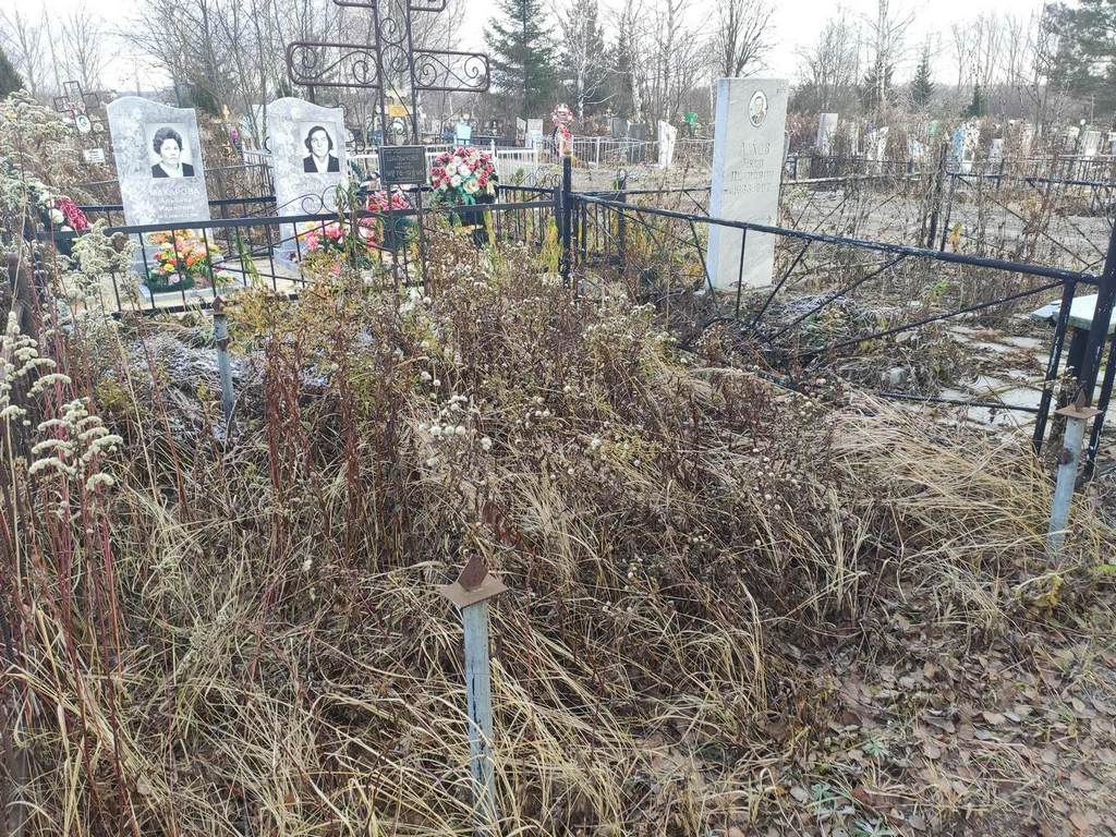 Шальнова Наталья Николаевна