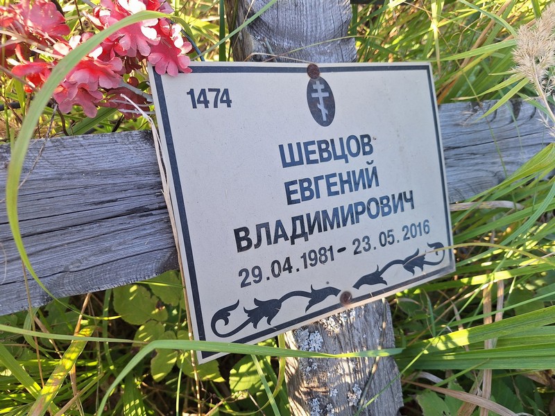 Шевцов