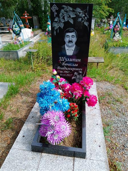 Шулиппин Вячеслав Владимирович