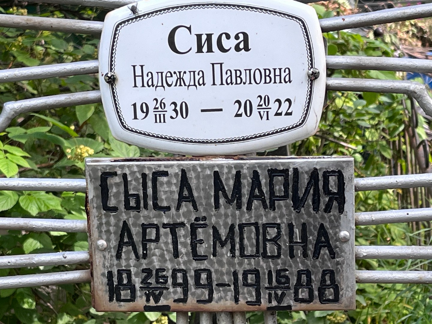 Сыса