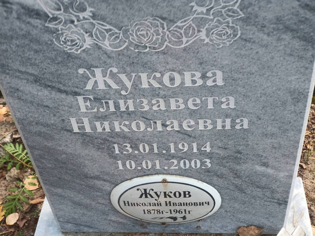Жукова Елизавета Николаевна